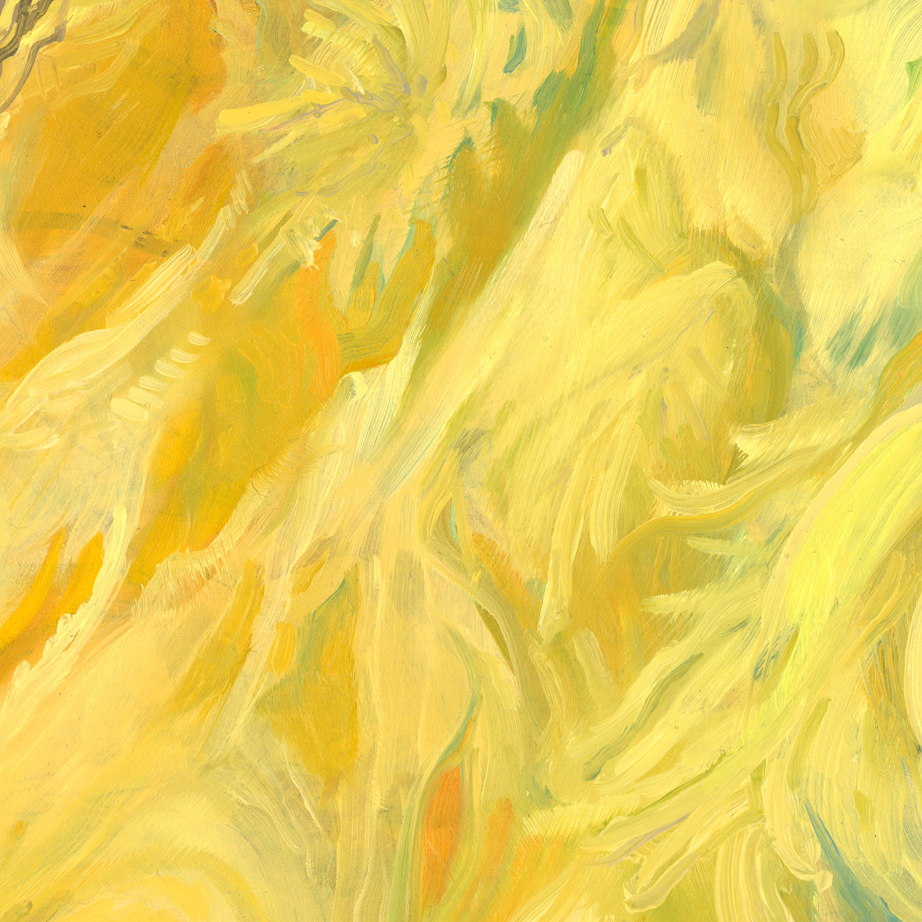 Andrew Theophilopoulos Ultra HD Oil Textures